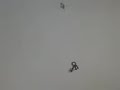 Line Rider: I died in the adventure..
