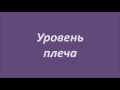 Нажмите для просмотра : Эхоанатомия срединного нерва руки