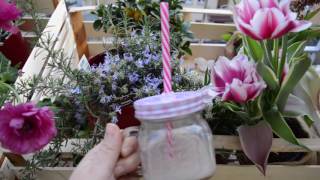 Frullato Vegano bio con fragole, banana e latte di soia