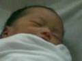 Grayda Twin Babies II