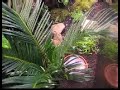 *****Please leave feedback******Here is a quick view of my very first terrarium build -- It's 135 gallons -- More to come soon!I have 3 fire belly toads, 3 cuban tree frogs and 1 rose hair turantuala.