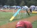 videos de Storm