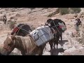 Trail to Havasu Falls Grand Canyon Navajo Mooney Havasupai