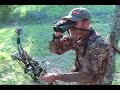 Elusive Wildlife - 3 awesome bowhunts using illumitacks