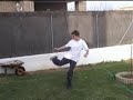 Dragon ball
