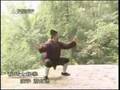 Wudang Taijiquan
