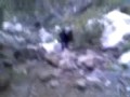 Cañon El Copalito 1
