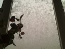 Det Snöar Ännu Mer Det Snöar Ännu Mer