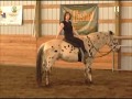 videos de Bitless Horse Riding with Missy Wryn