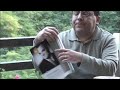 DIA SIETE 381, libros