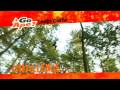 videos de Go Ape! Leeds Castle, Kent