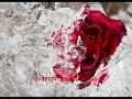 nei giardini che nessuno sa - Pausini [Testo ita]