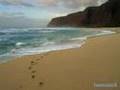 UNIVERSO :. Pat Metheny Group-Dream of the return .: