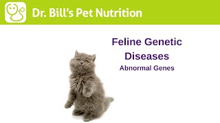 Feline Genetic Diseases | Abnormal Genes | Dr. Bill's Pet Nutrition | The Vet Is In