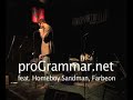 proGrammar 1/27/2008 A feat Homeboy Sandman, Farbeon BPC