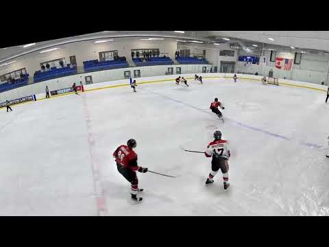 Liam Wouters #17 U16AAA Brantford 99ers vs Cambridge Red Hawks