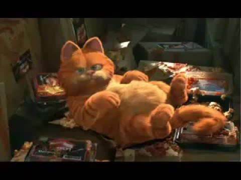 0 Garfield(Le Film)