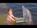 Porpoise Driven Life