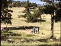 Historic Preservation in Boulder County Parks & Open Space