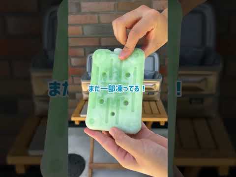 81660010_氷点下パックギャップディスク