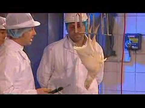 0 Von toten Hühnern und Privatfernsehen