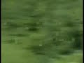 porsche gt3 roll over nurburgring