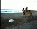 corck garrydo