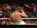 One Minute Action of Miguel Cotto!