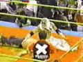 Hayabusa Stands Tall (Killswitch Engage)