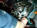 videos de Stag timing chains