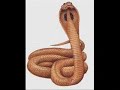 Vodun - nago - Brasil (Mahi) - 1