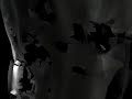 Black Wind
