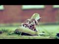 videos de Best Cuks