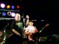Gator Country / Molly Hatchet Flirting With Disaster