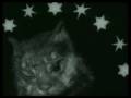 Cat-Attack