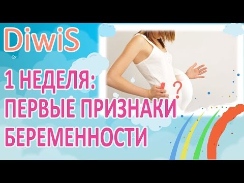 Первые признаки беременности срок 1 неделя