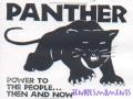 clip video DJ Hell Black Panther Party