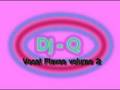 Dj Q - track 20( vocal flavas volume 2) october 2008