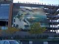 videos de The 2008 World Series Champion, Philadelphia Phillies Have a