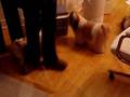 videos de Bax and Max 1