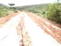 videos de Desespero de Wandson.mp4