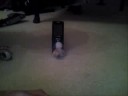 death of the sylvanian families
