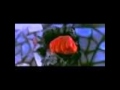 sieu nhan tiga review Review of Ultraman Tga, Dyna and Gaia music - YouTube