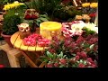 Flower Market Holland