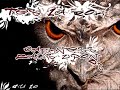 Tes La Rok - Darkness Falls Upon Us Tes La Rok - Darkness Falls Upon Us