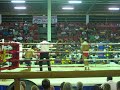 Muay Thai Knockout