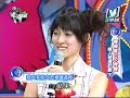 犬動画