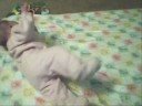 Baby LilBit Rolls Along Baby LilBit Rolls Along