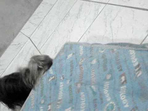 Ver Vídeo