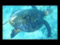 Ballade aquatique Ballade aquatique